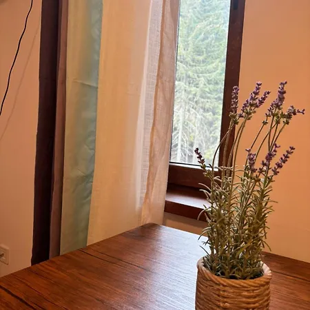Montepinar Grand 公寓 *